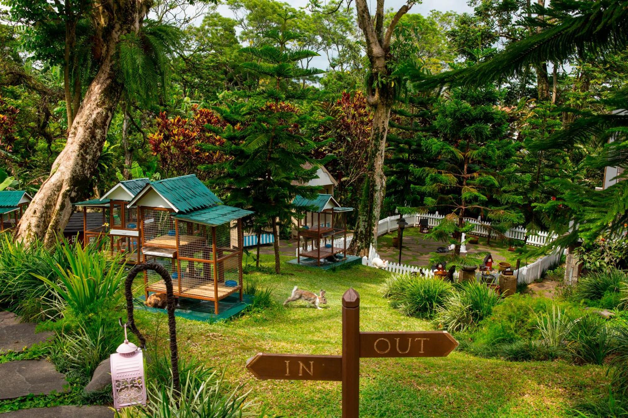Novus Giri Resort & Spa Puncak Εξωτερικό φωτογραφία