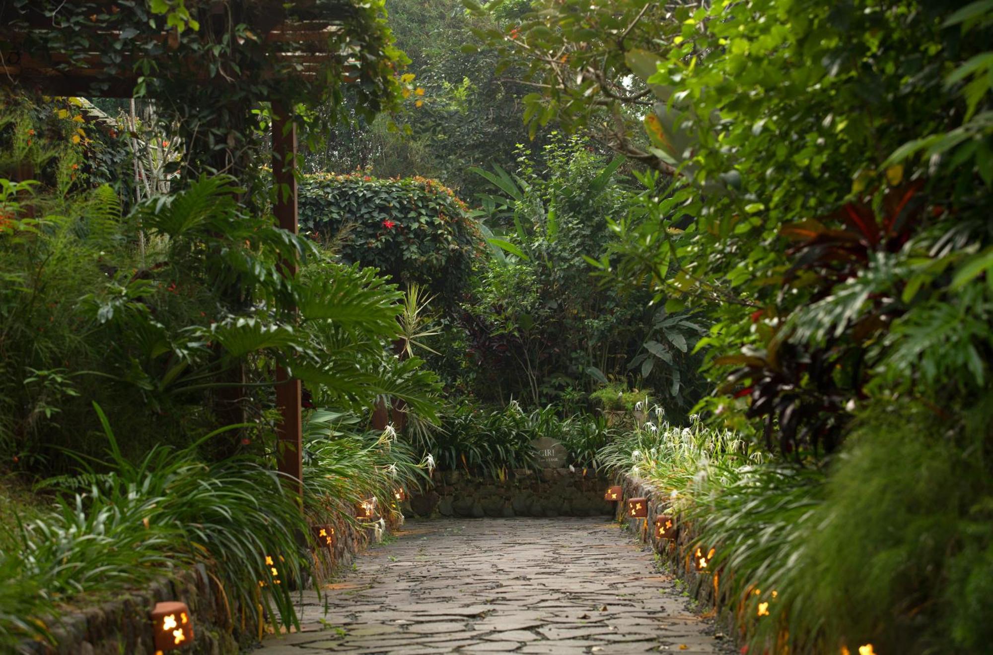 Novus Giri Resort & Spa Puncak Εξωτερικό φωτογραφία